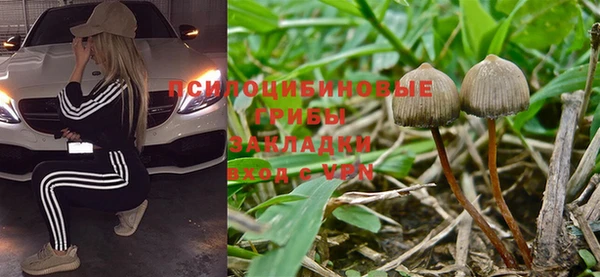 мяу мяу мука Абинск