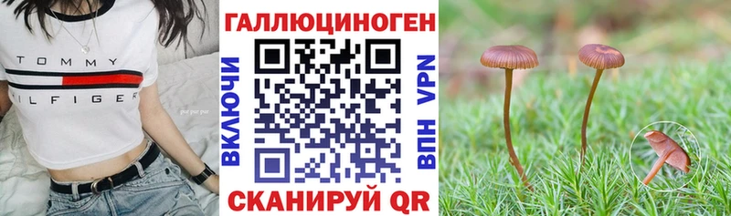 Псилоцибиновые грибы MAGIC MUSHROOMS  Заволжье 