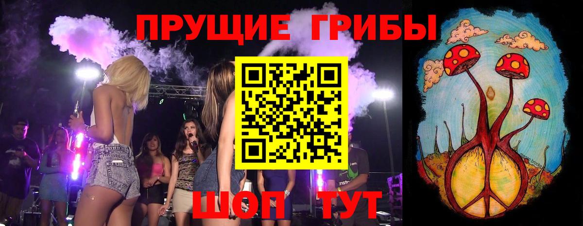 Заволжье  наркота  Вход с VPN  Галлюциногенные грибы MAGIC MUSHROOMS 