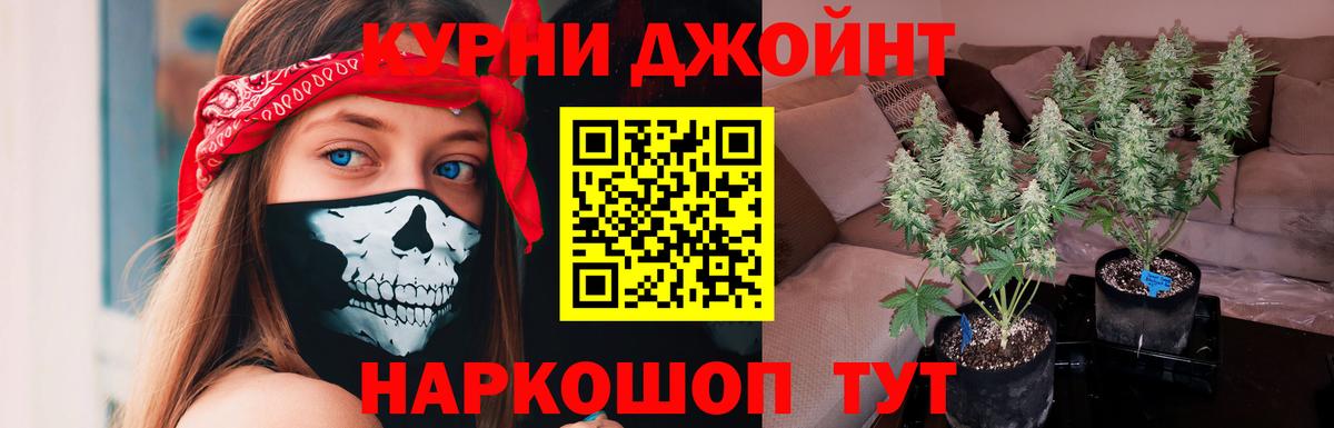 Бошки Шишки марихуана  Каннабис гибрид  Вход с VPN  Шишки марихуана Bruce Banner  Заволжье 